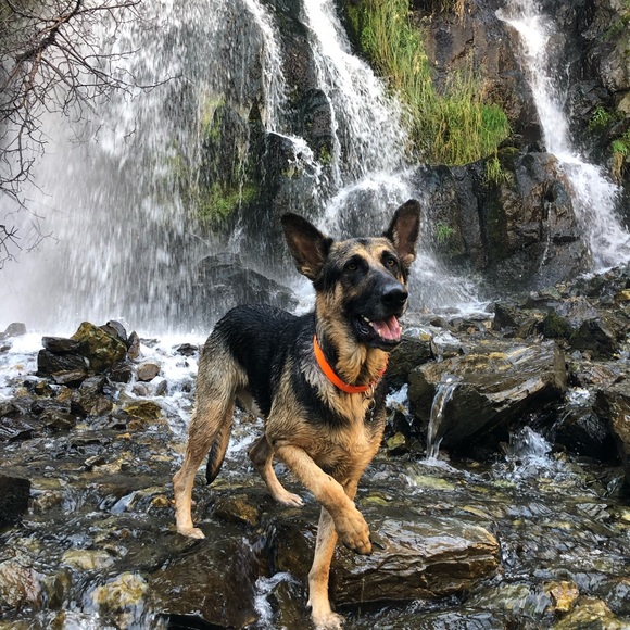 Meet your Posher, Rachel - Picture 5 of 9